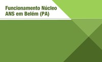 Funcionamento do Núcleo da ANS no Pará em novembro