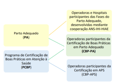 Certificação Parto