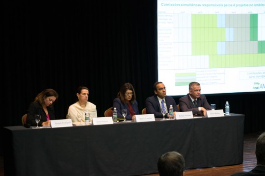 Reuniao comite estrutura produto 32 540x359