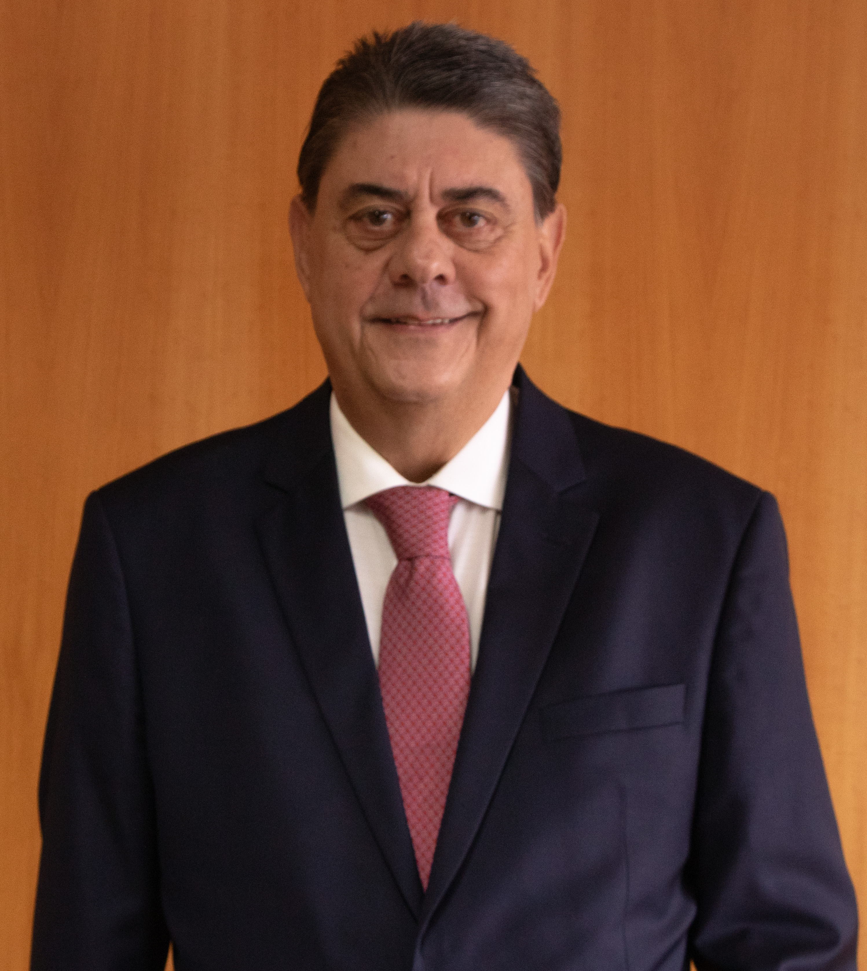 Wadih Nemer Damous  Filho