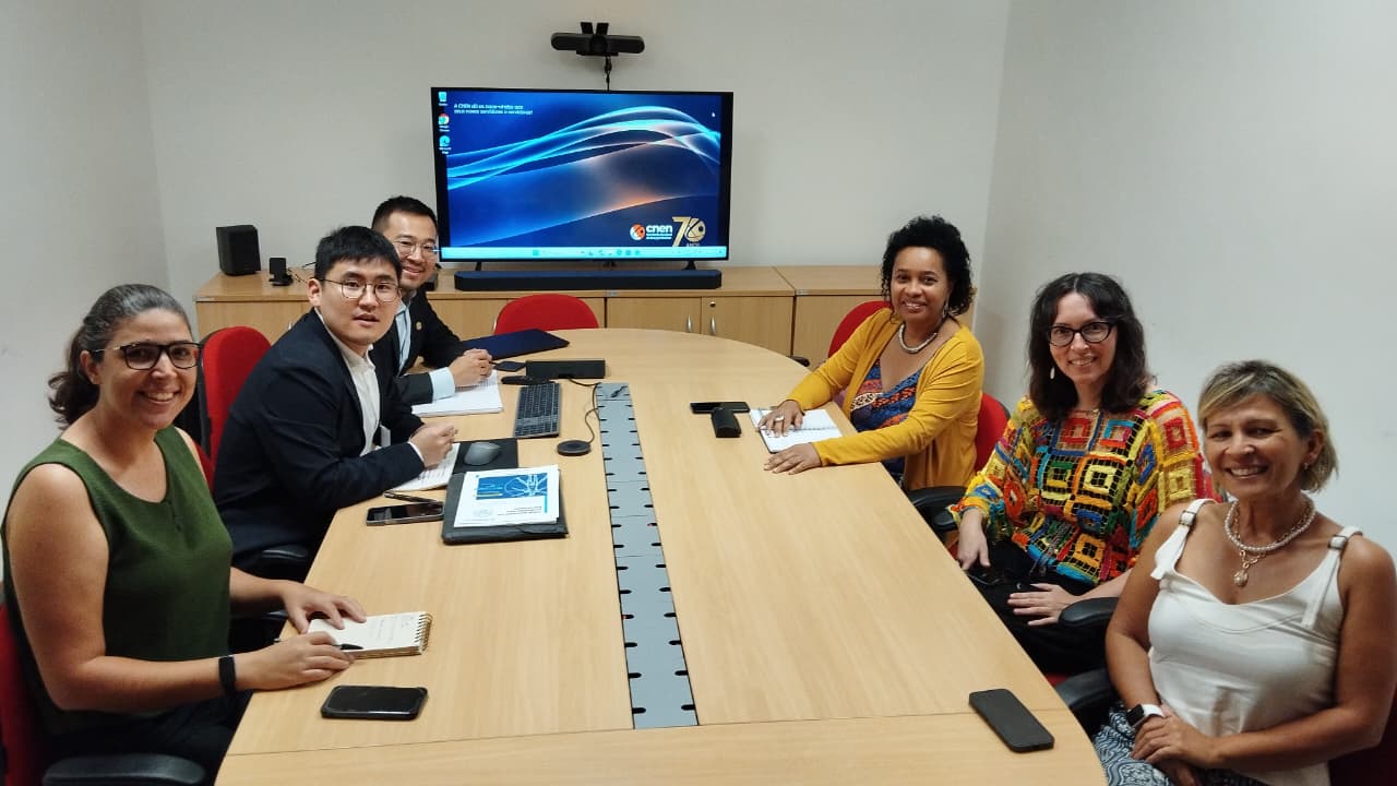 Equipes da DIRC e a coordenadora-geral de Assuntos Inernacionais, Viviane Simões, receberam os executivos chines.Crédito: Divulgação ANSN