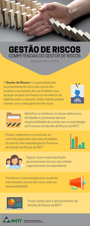 Infográfico Competências - Gestores de Riscos