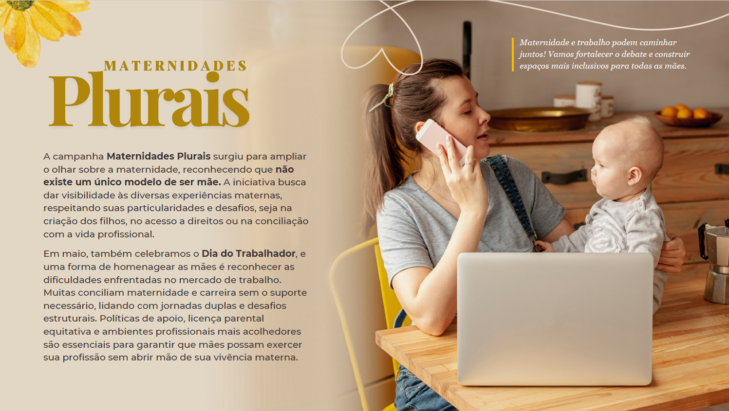 maternidades plurais.png