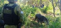 ANTT acompanha ações de resgate e proteção da fauna nas rodovias concedidas