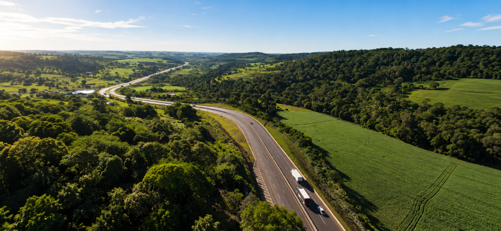 IMAGEM DA RODOVIA COM AREA VERDE AO LADO