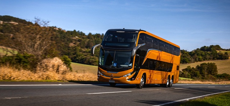 IMAGEM COM O TRANSPORTE INTERNACIONAL NA RODOVIA  E AREA VERDE AO LADO