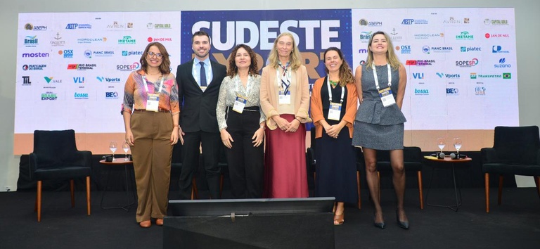 Painel Brasil Export