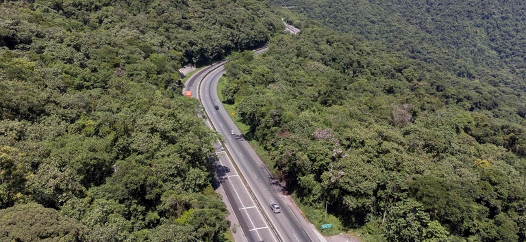Foto mostrando um trecho de rodovia no Paraná da EPR Litoral, com bastante vegetação ao lado