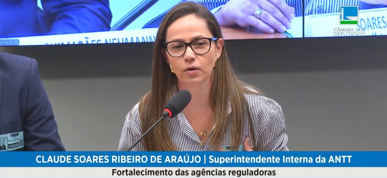 ANTT destaca papel estratégico e necessidade de reforço no quadro de servidores em audiência na Câmara dos Deputados