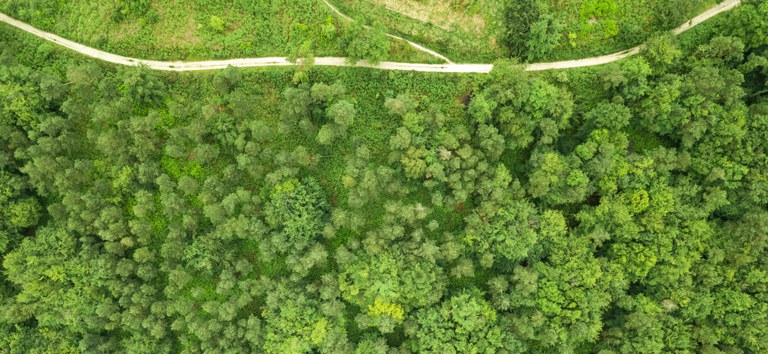 ANTT institui comitês para fortalecer sustentabilidade na infraestrutura de transportes terrestres