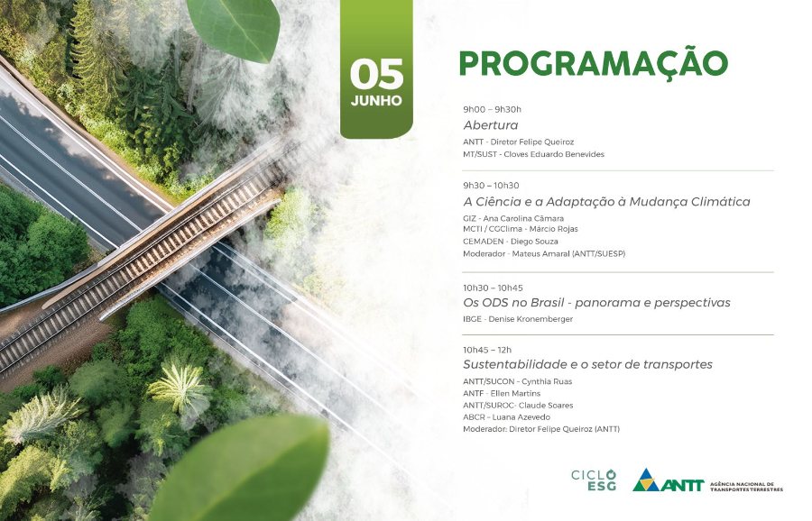Sustentabilidade e Resiliência da Infraestrutura Viária