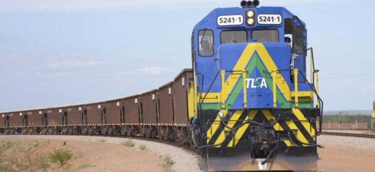foto da ferrovia transnordestina com o trem passando