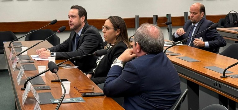 Foto mostrando o superintendente falando durante a audiência pública