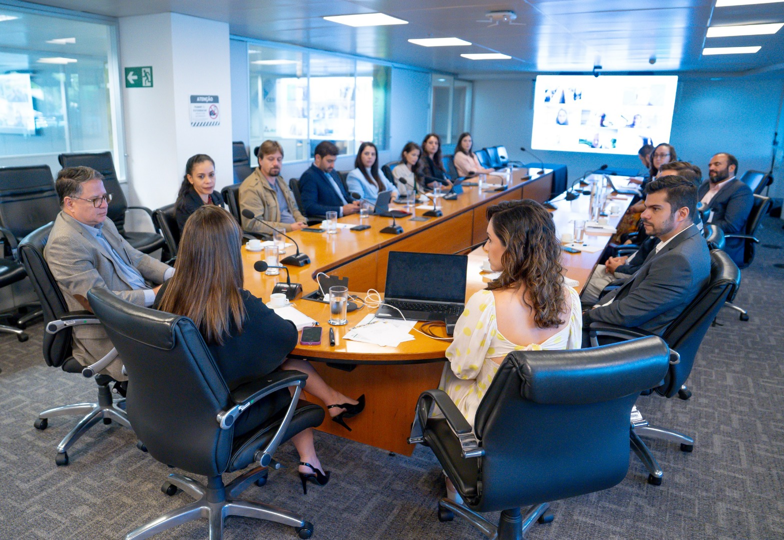 SUSPI / Comitês de Desenvolvimento da Sustentabilidade de Rodovias e Ferrovias - 07/05/25