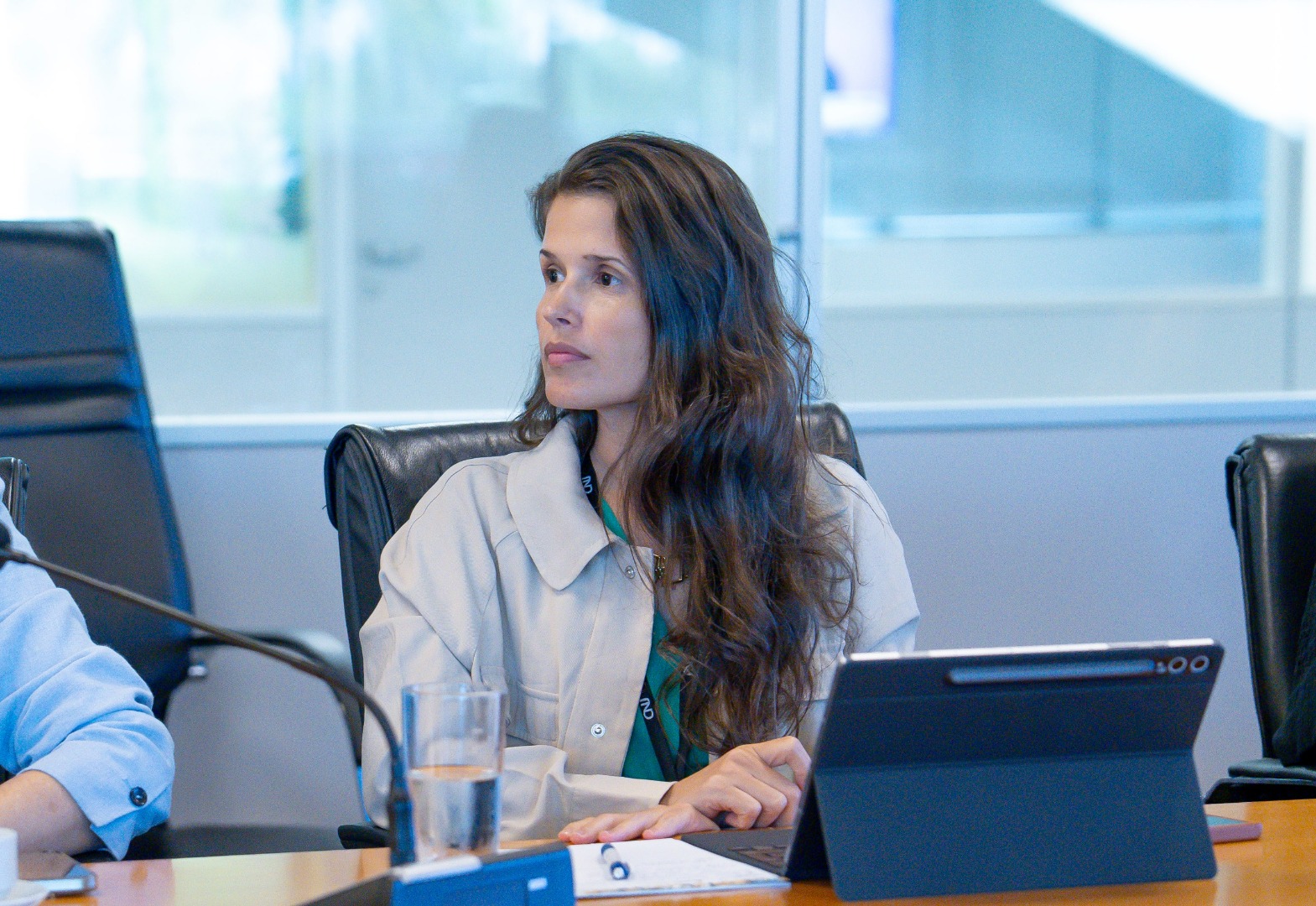 SUSPI / Comitês de Desenvolvimento da Sustentabilidade de Rodovias e Ferrovias - 07/05/25