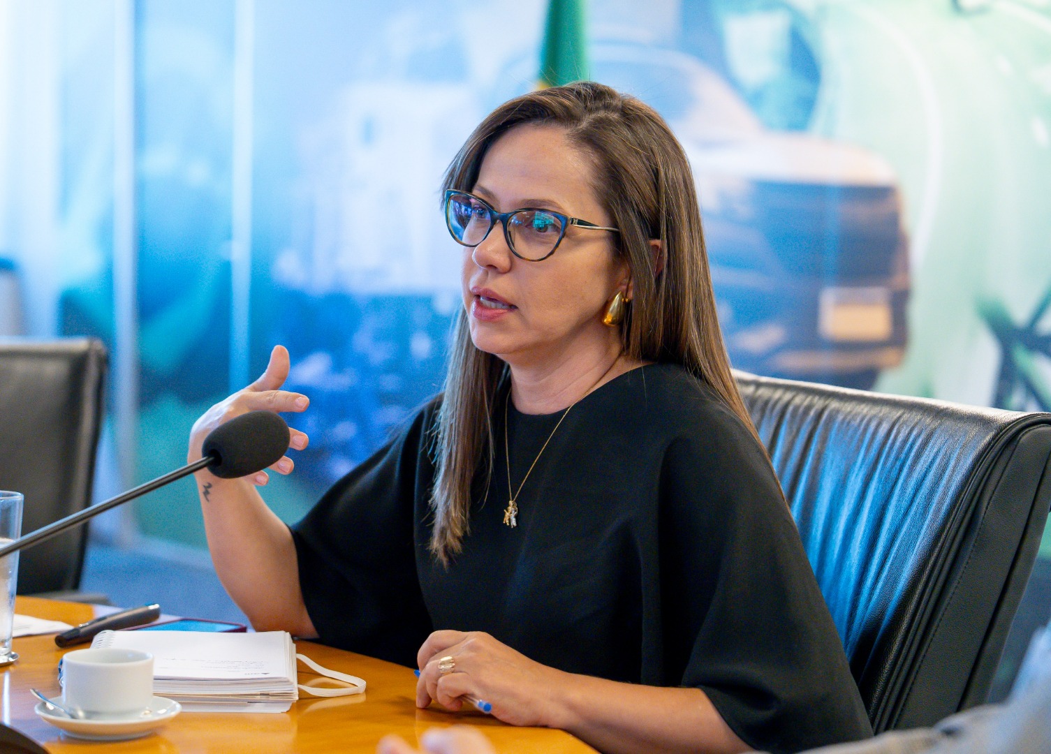 SUSPI / Comitês de Desenvolvimento da Sustentabilidade de Rodovias e Ferrovias - 07/05/25