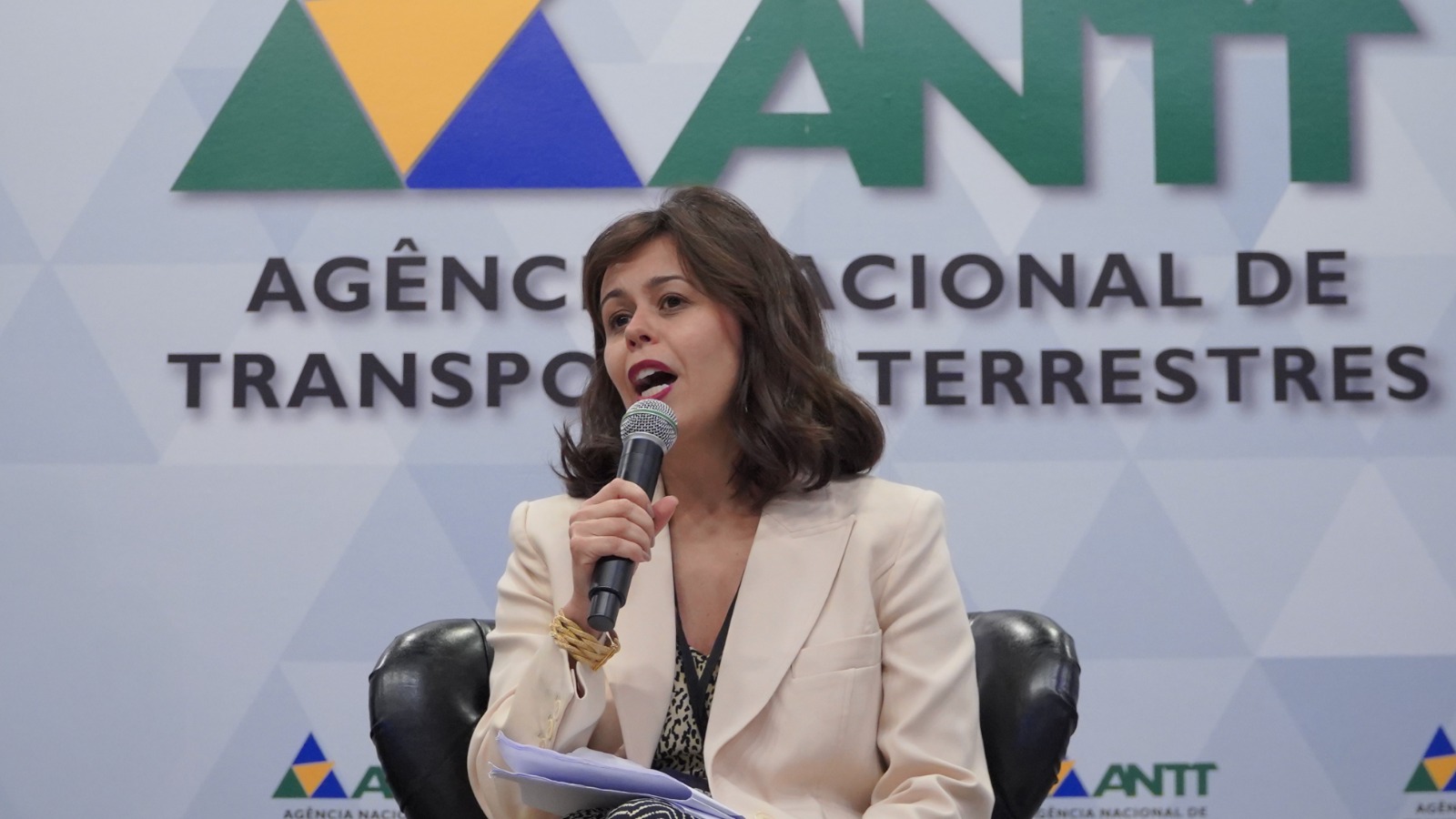 09/06/25 - P3C - Tarde - Painel 3