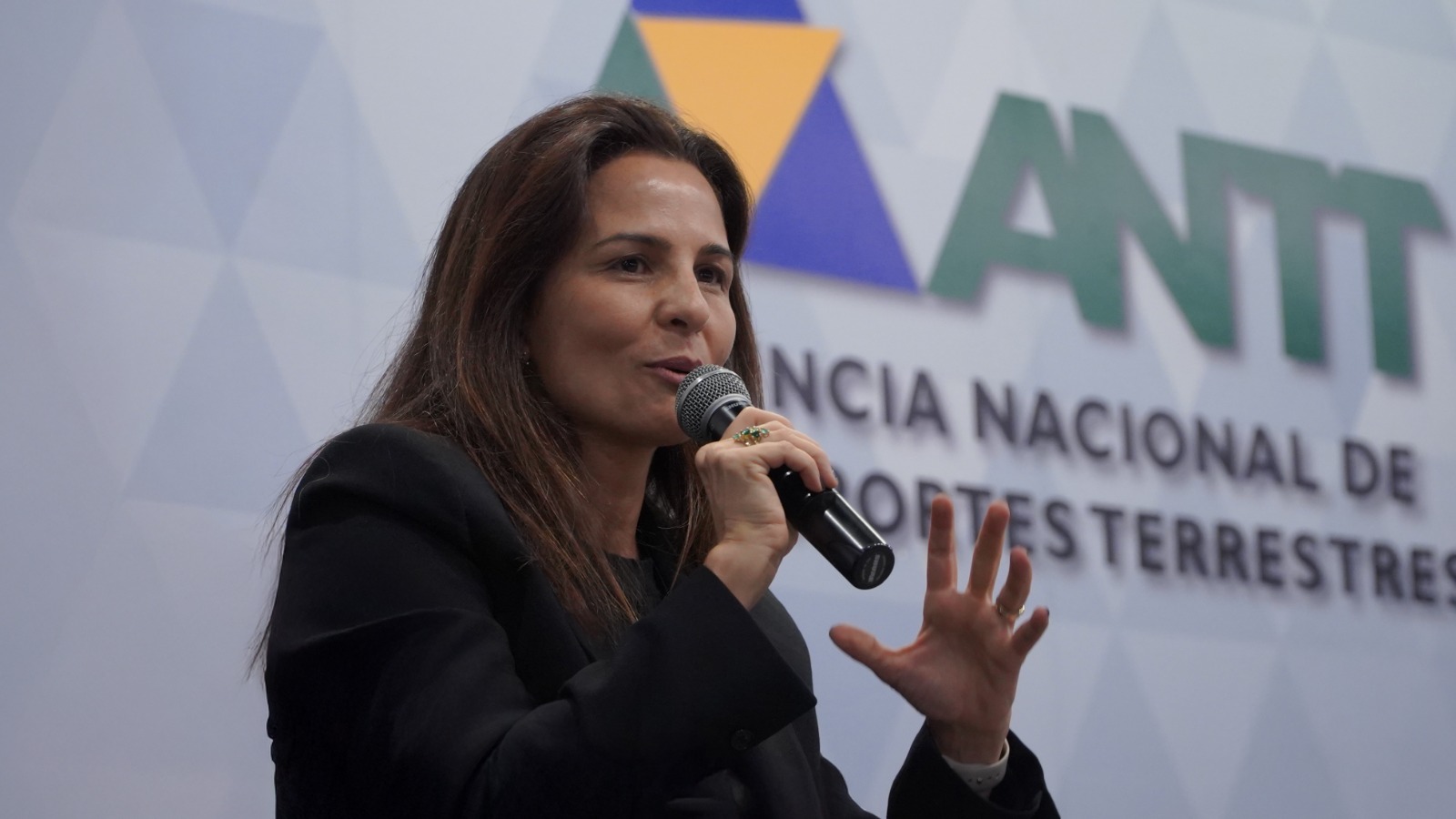 09/06/25 - P3C - Tarde - Painel 3