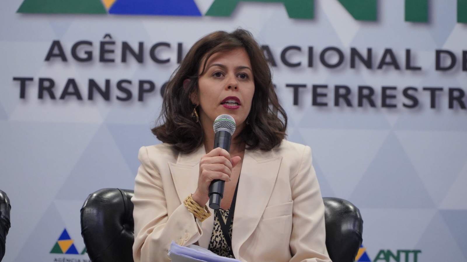 09/06/25 - P3C - Tarde - Painel 3