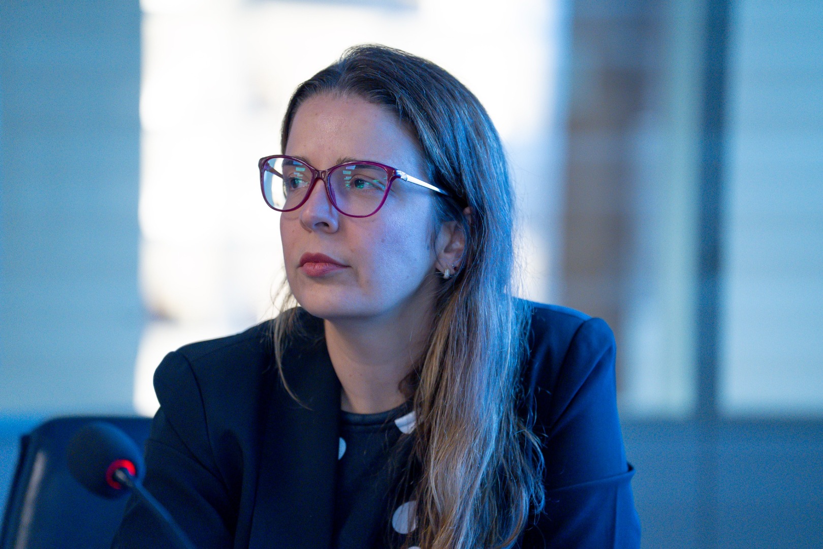 19/03/25 - Comitê de interlocução - SEJANTT - Rodovias (TARDE)