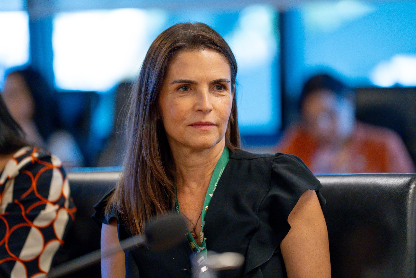 19/03/25 - Comitê de interlocução - SEJANTT - Rodovias (TARDE)