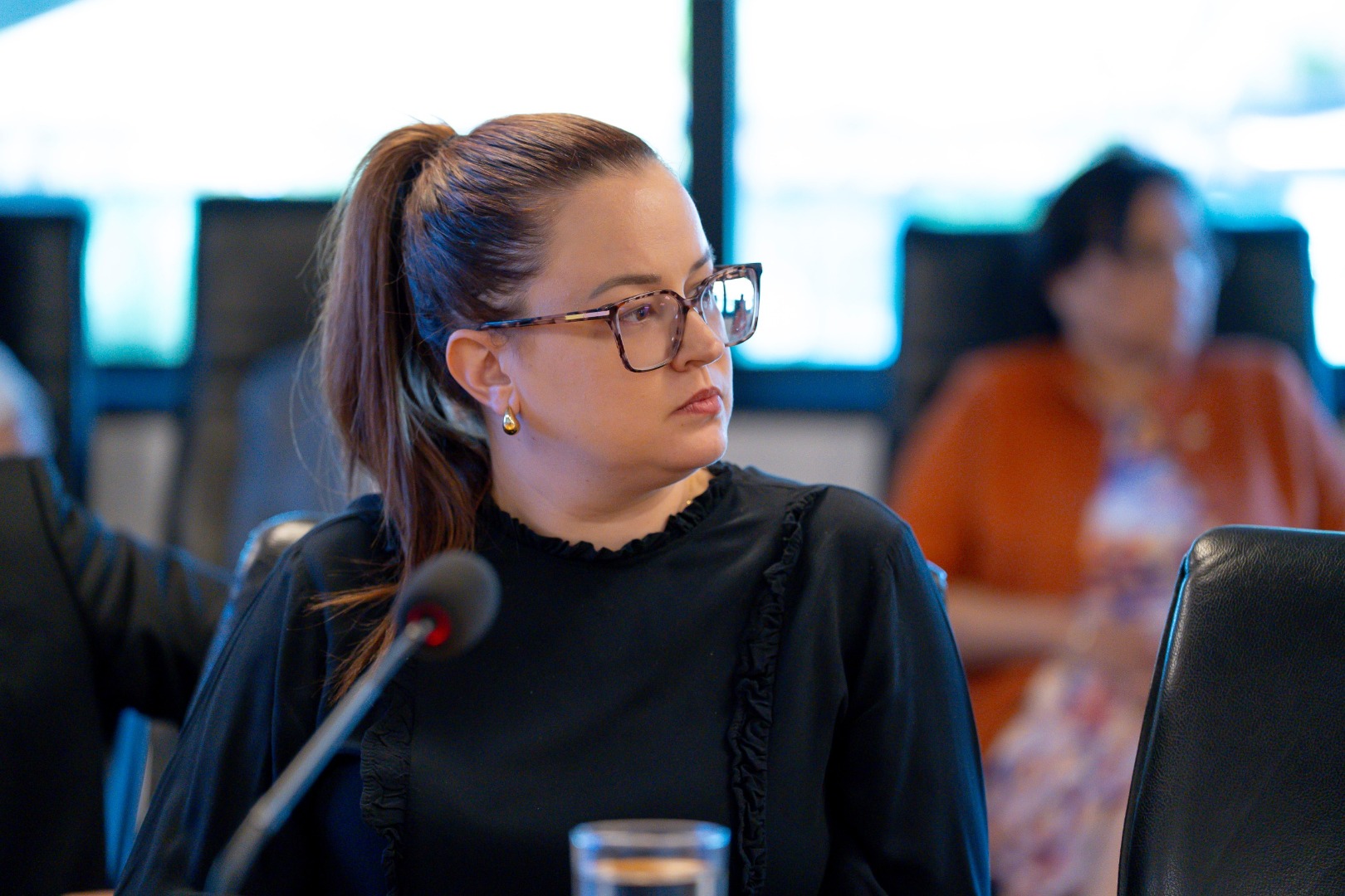 19/03/25 - Comitê de interlocução - SEJANTT - Rodovias (TARDE)