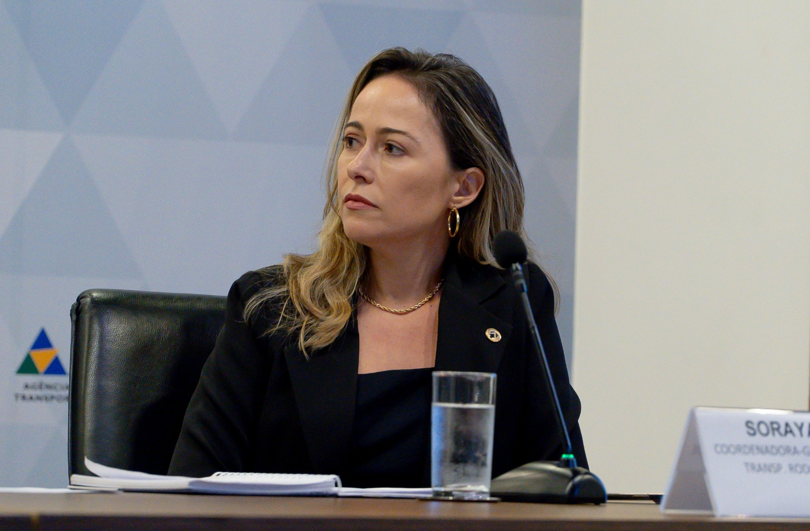 Audiência Pública nº 1/2024 - 18/04/24