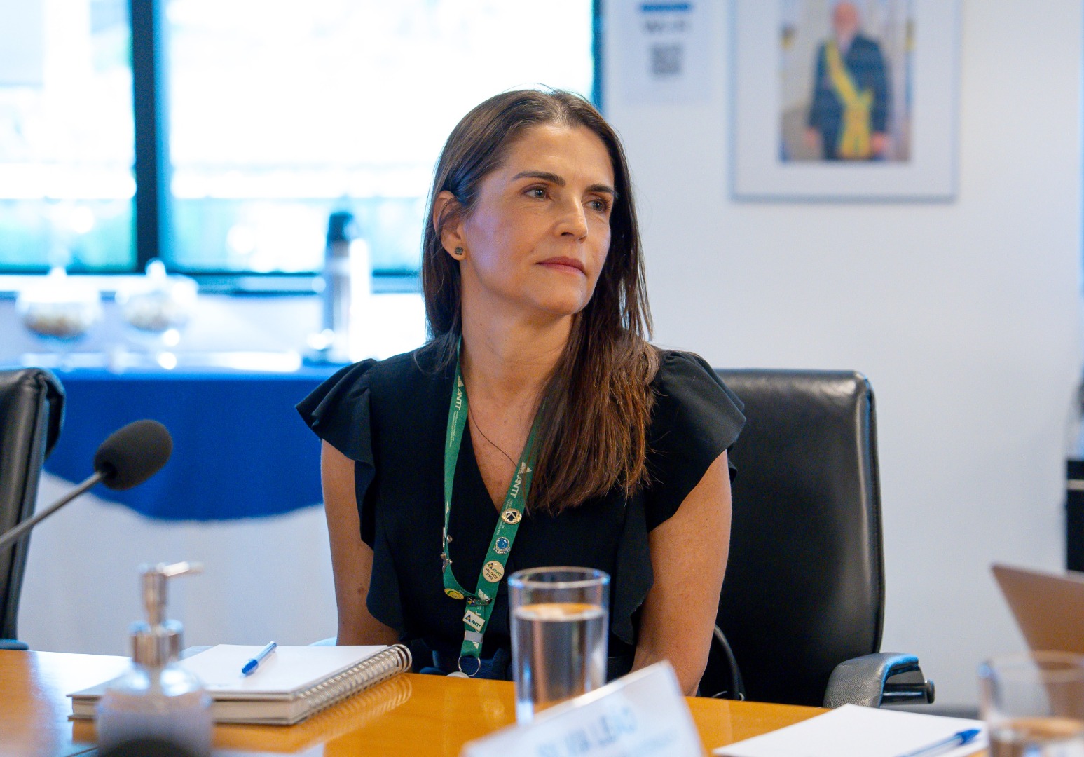 Comitê de interlocução - SEJANTT - Ferrovias - 19/03/25 (MANHÃ)