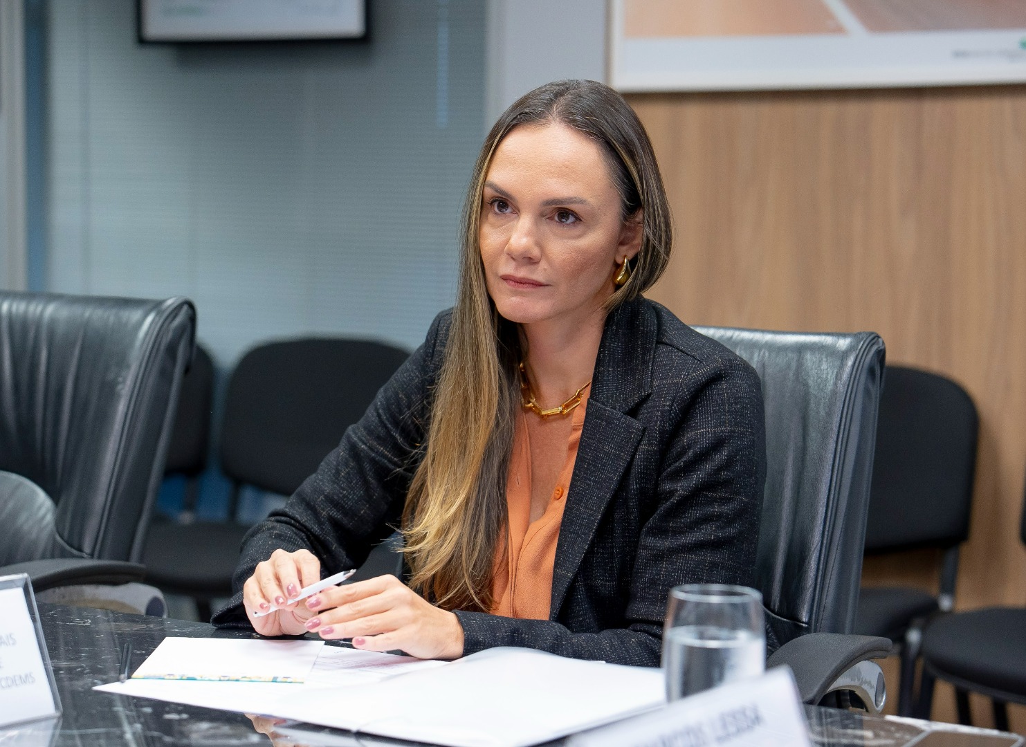 07/05/25 - Reunião DG e CDEMS