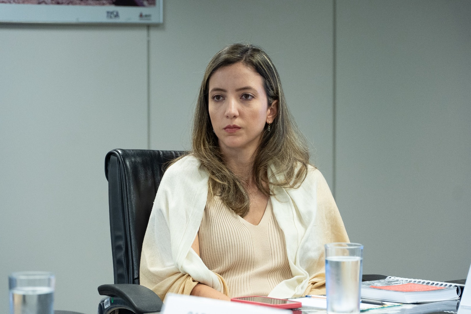 11/03/25 - Reunião DG e Dep. Fed. Gilson Daniel