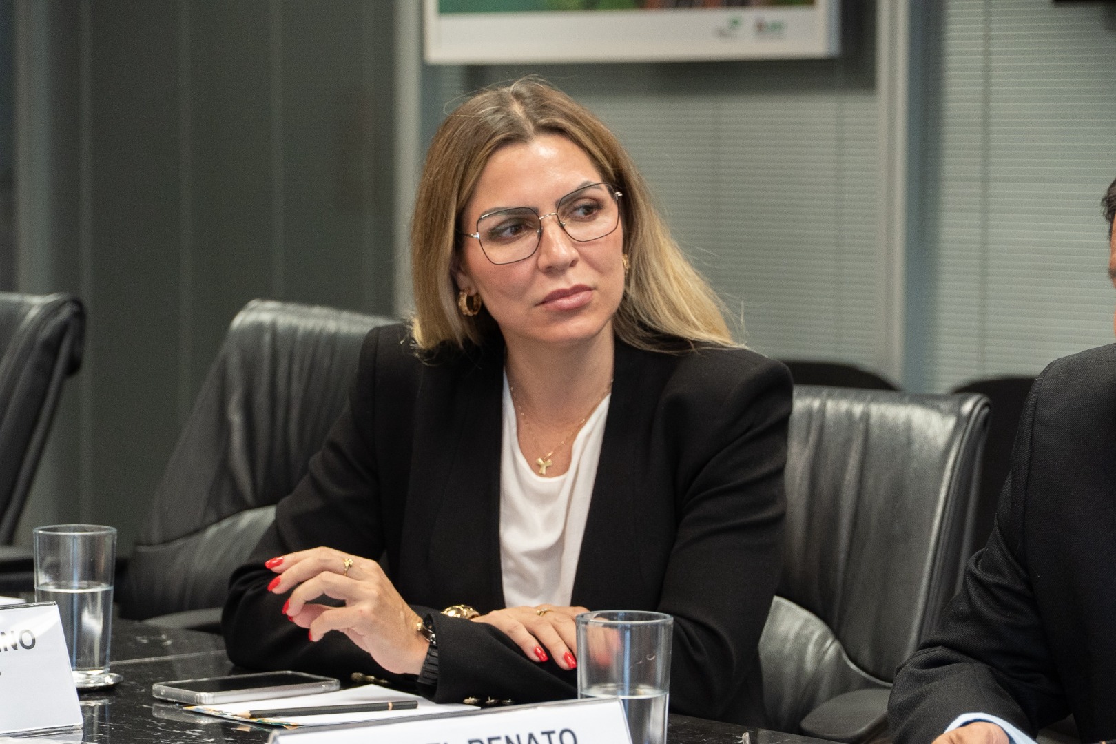 11/03/25 - Reunião DG e SEPPI/CC/PR e Banco do Brasil