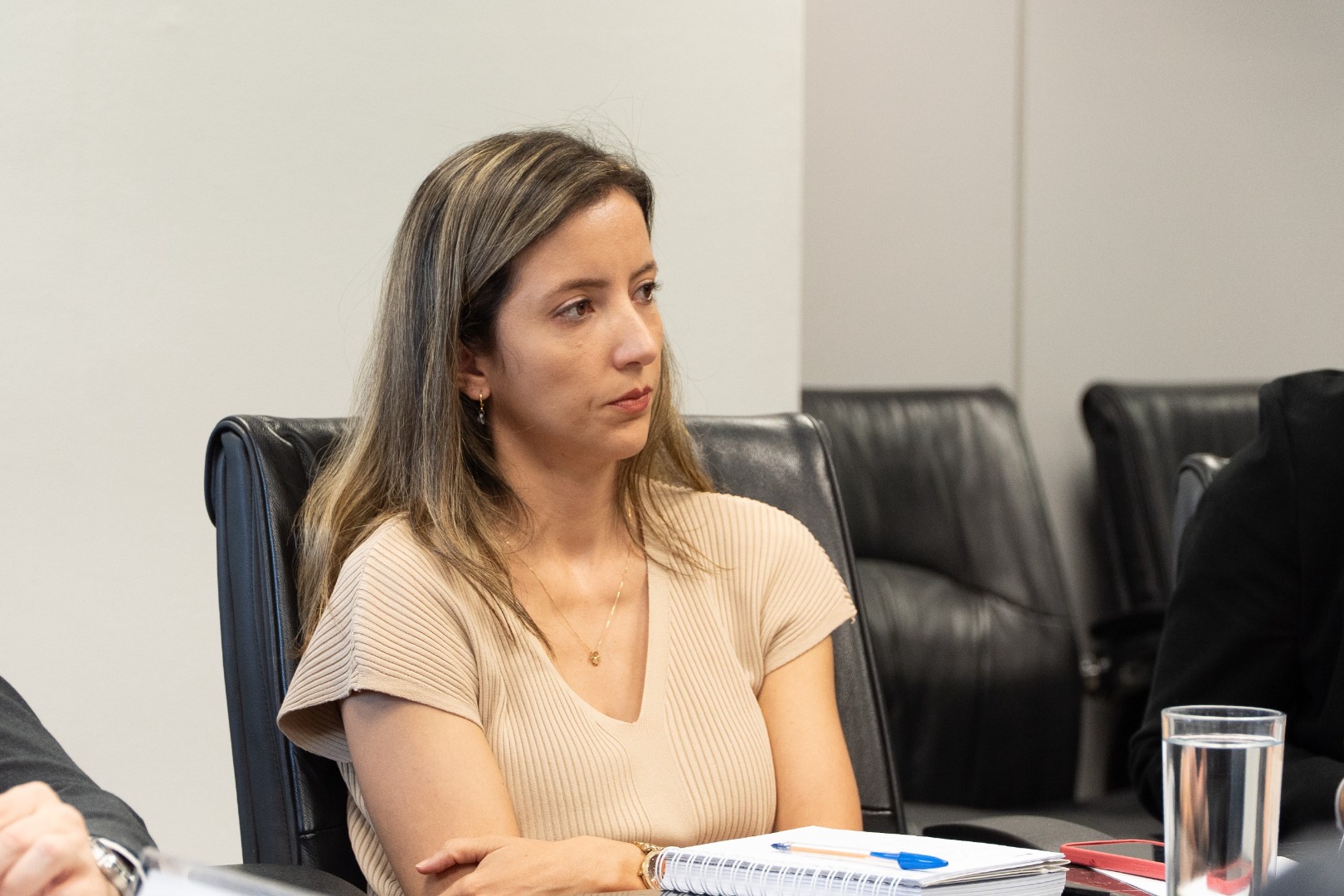 11/03/25 - Reunião DG e SEPPI/CC/PR e Banco do Brasil