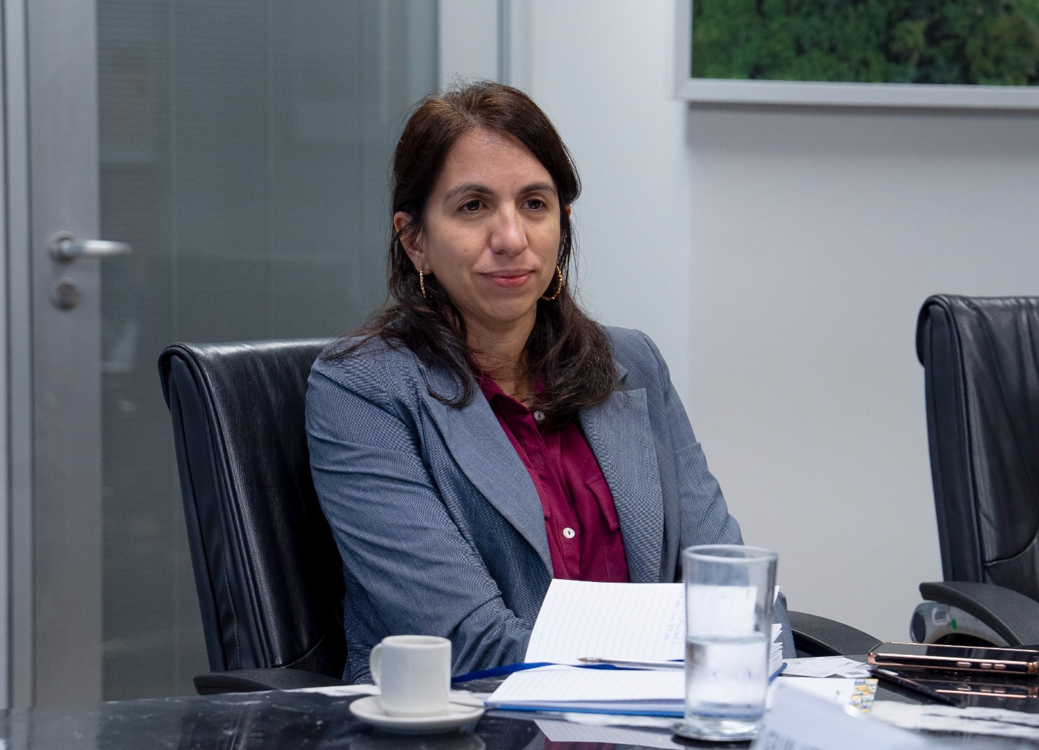 18/03/25 - Reunião DG e GRI