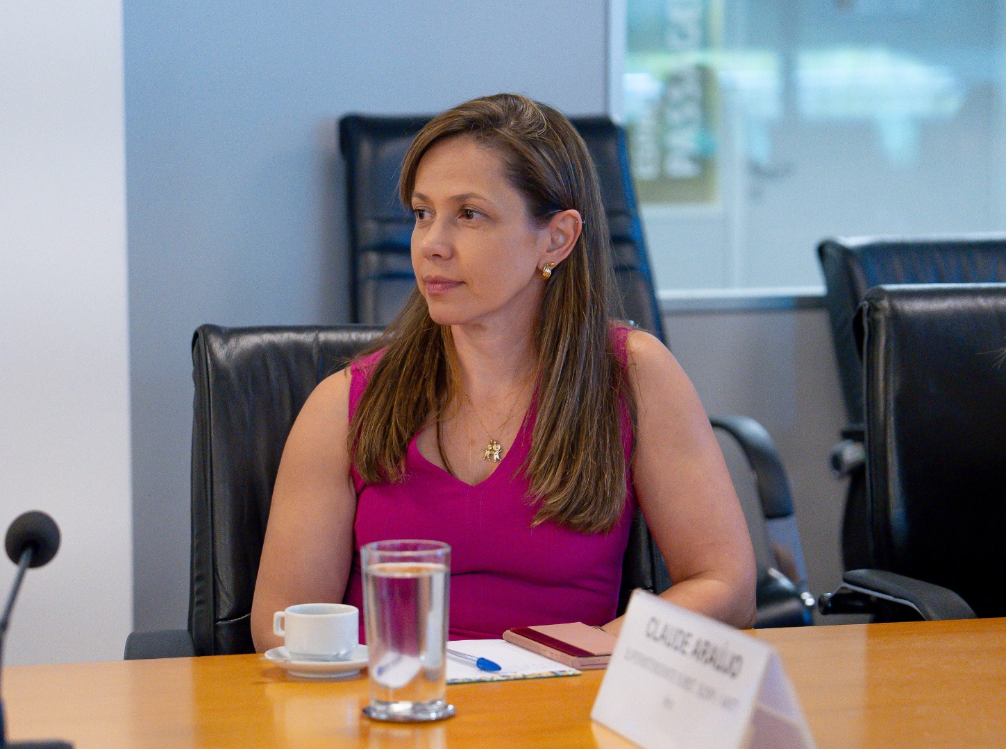 28/03/25 - ASINT e Conselho Econômico e Comercial da Embaixada da Espanha no Brasil