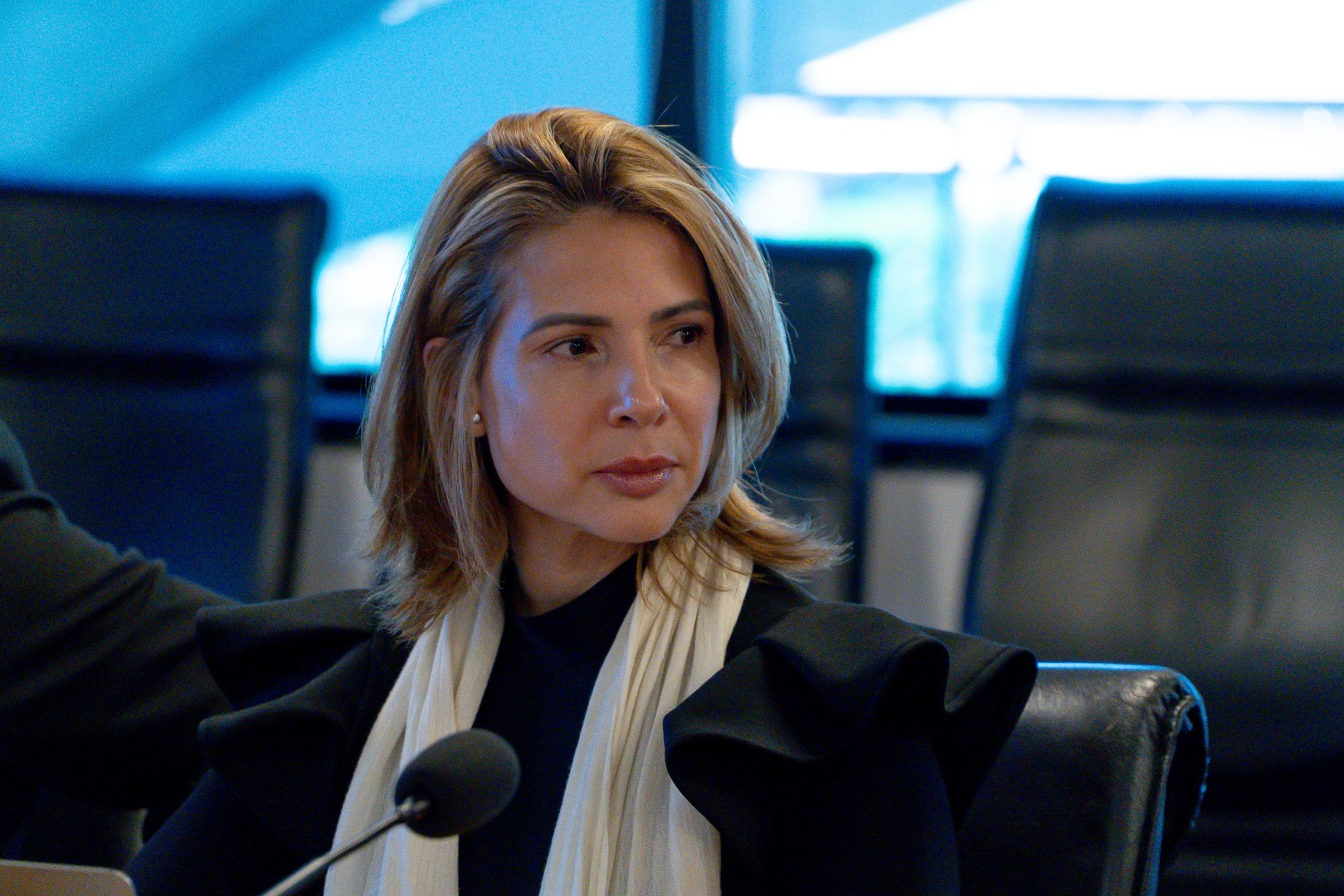 Reunião DG e Ferrogrão - 17/07/24