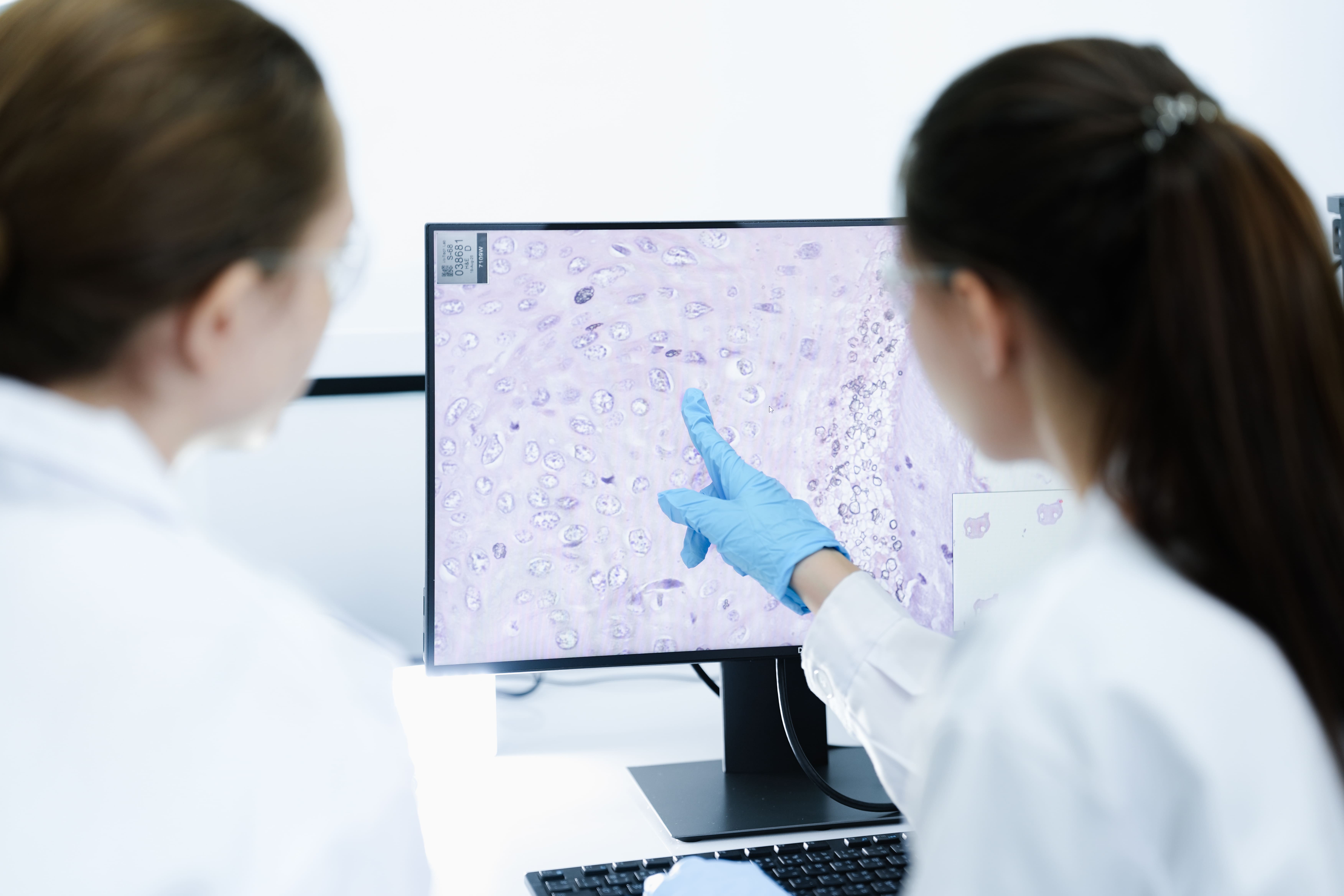 scientists-examining-sample-on-computer-monitor-in-2026-01-09-13-23-39-utc (1).jpg