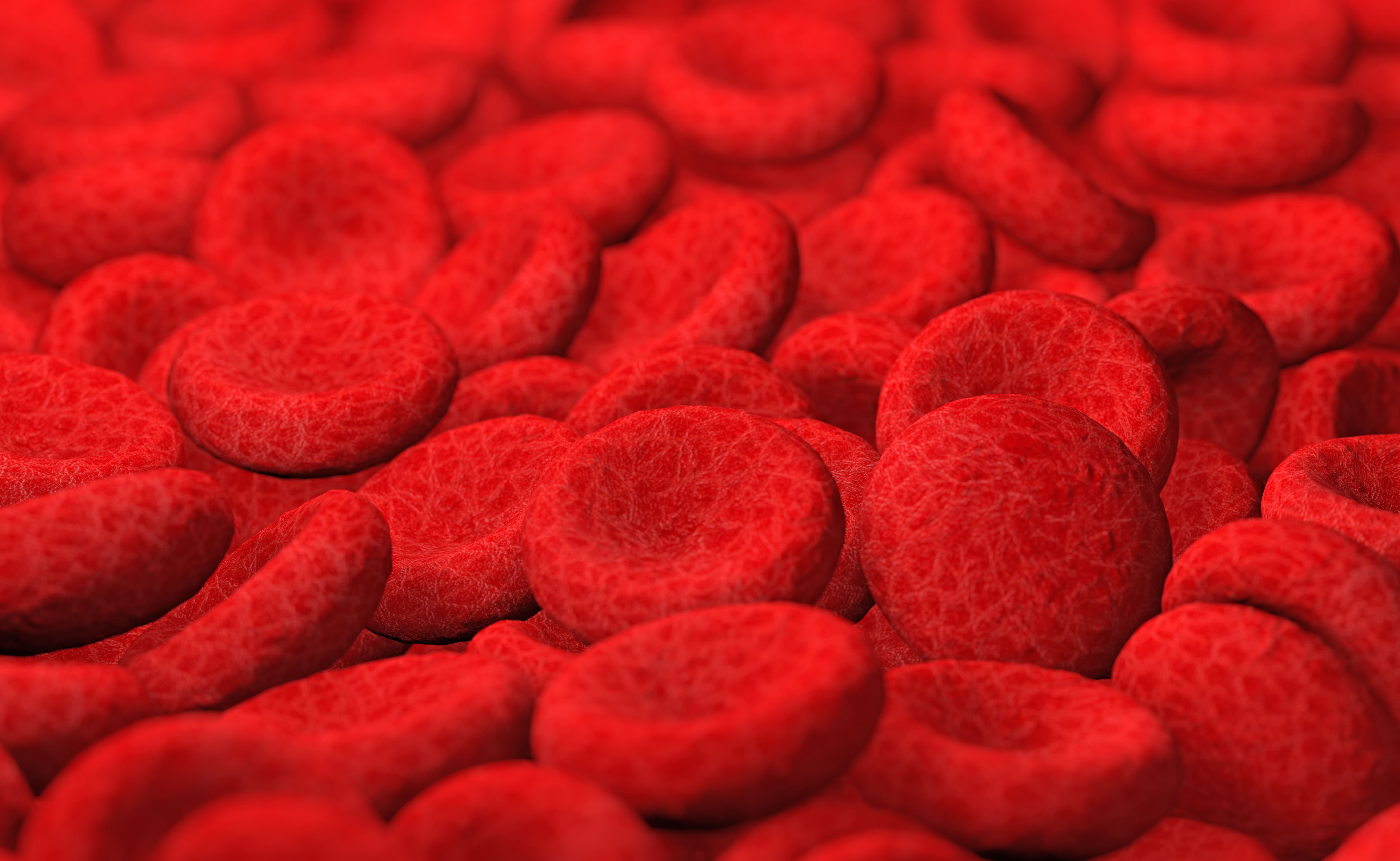 magnified-view-of-red-blood-cells-flowing-2026-01-05-00-53-25-utc (1).jpg