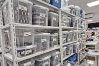 Anvisa flagra irregularidades em farmácia de manipulação em Florianópolis