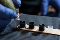 Anvisa proíbe máquina e tinta para tatuagens sem registro sanitário