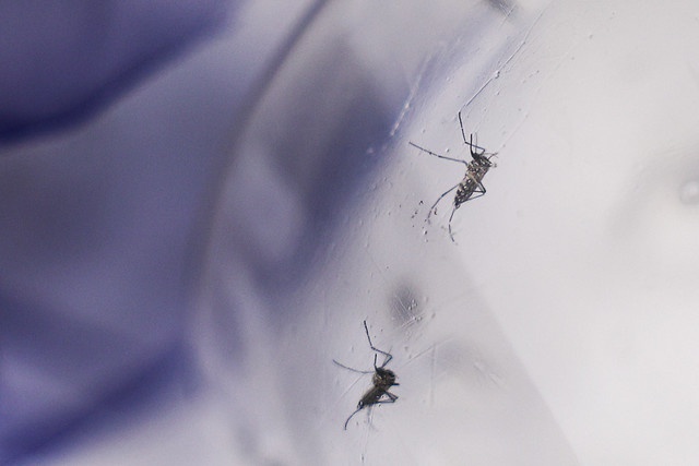 54776525785_c5363920a1_z- Marcelo Camargo-Agência Brasil.jpg