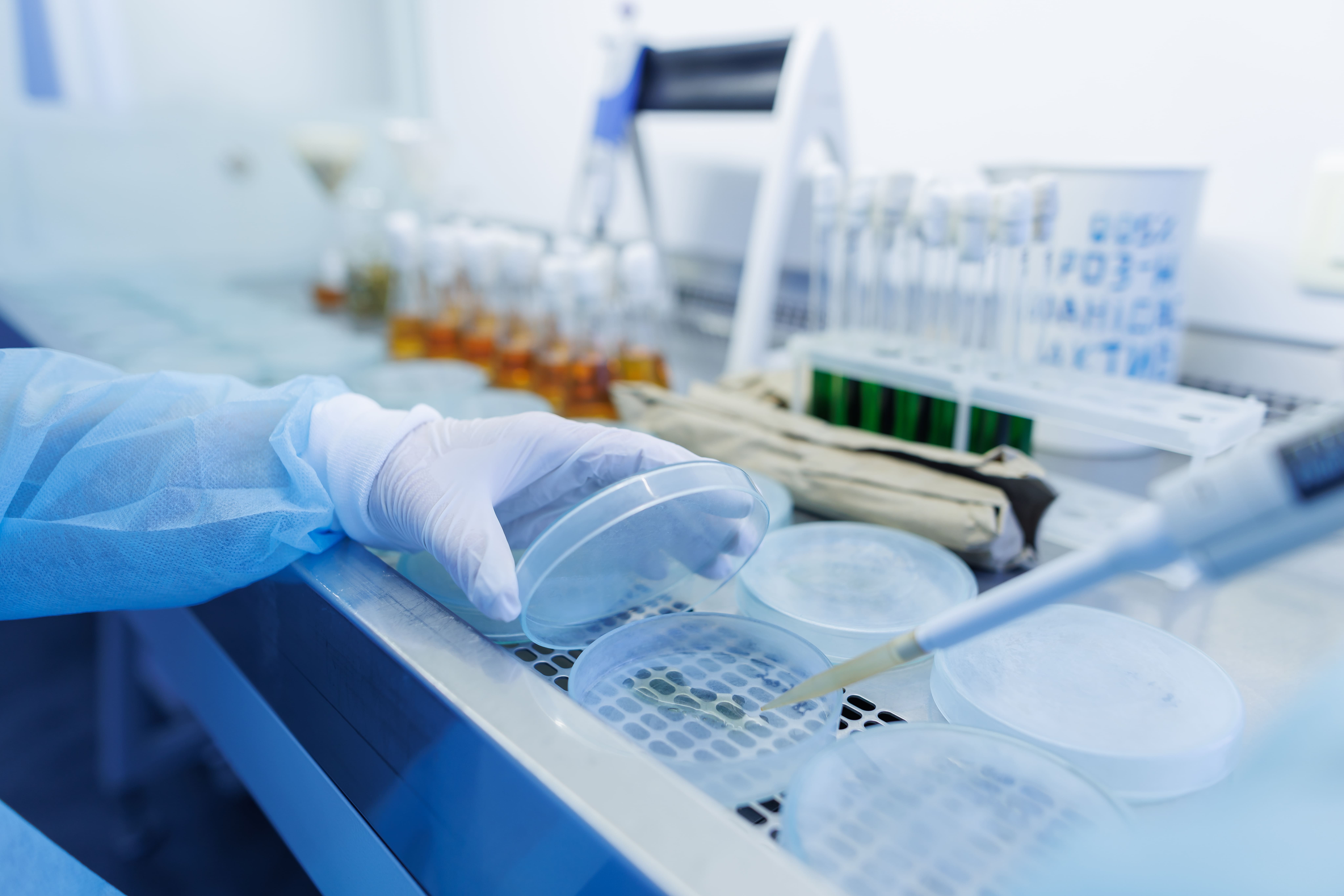 laboratorio