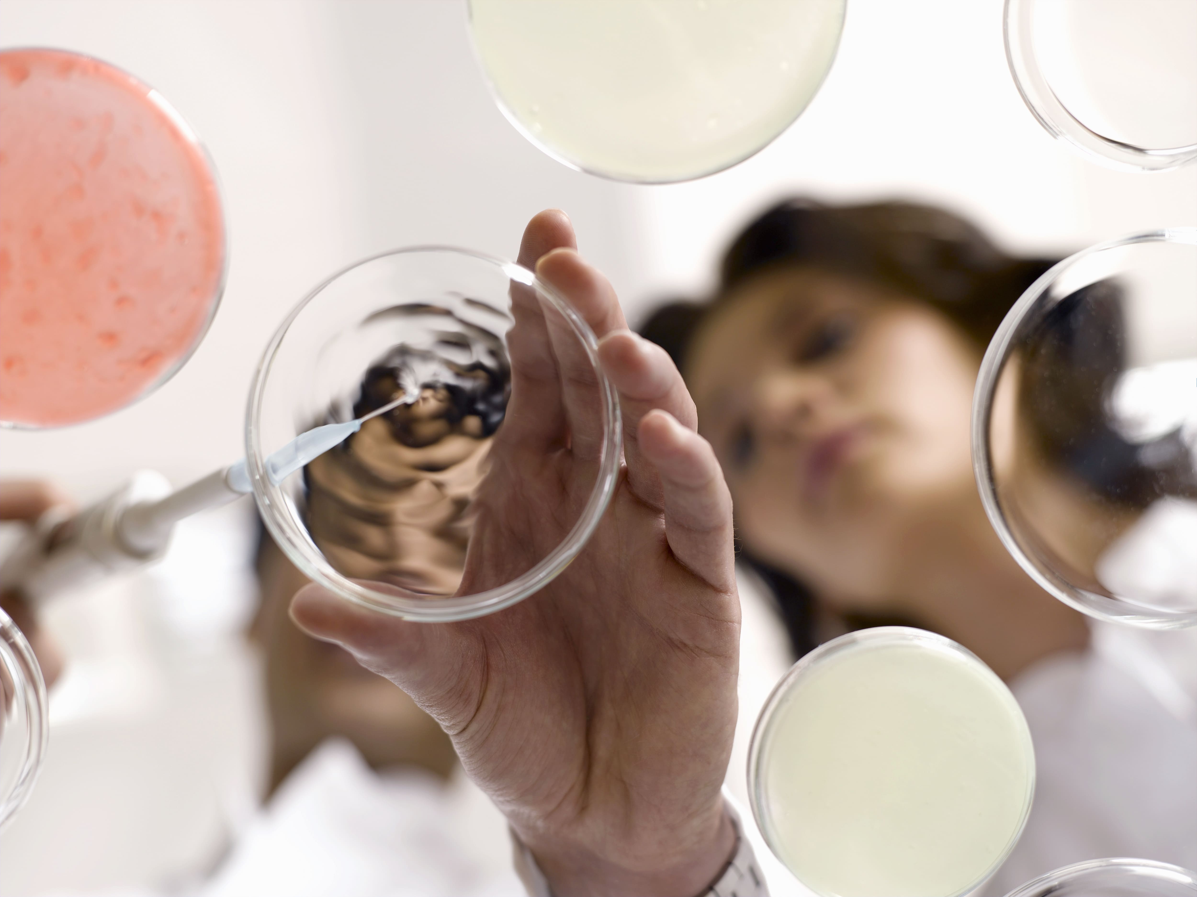 low-angle-view-of-scientists-testing-liquid-in-pet-2026-03-26-08-12-08-utc (1).jpg