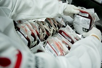 Política Nacional de Sangue, Componentes e Hemoderivados completa 25 anos