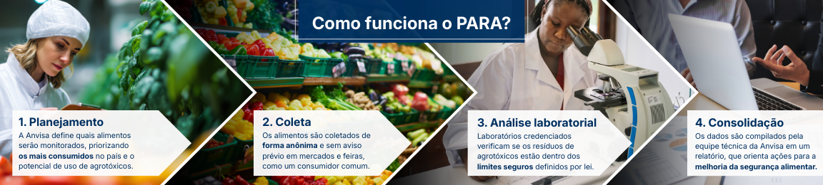 Como funciona o programa