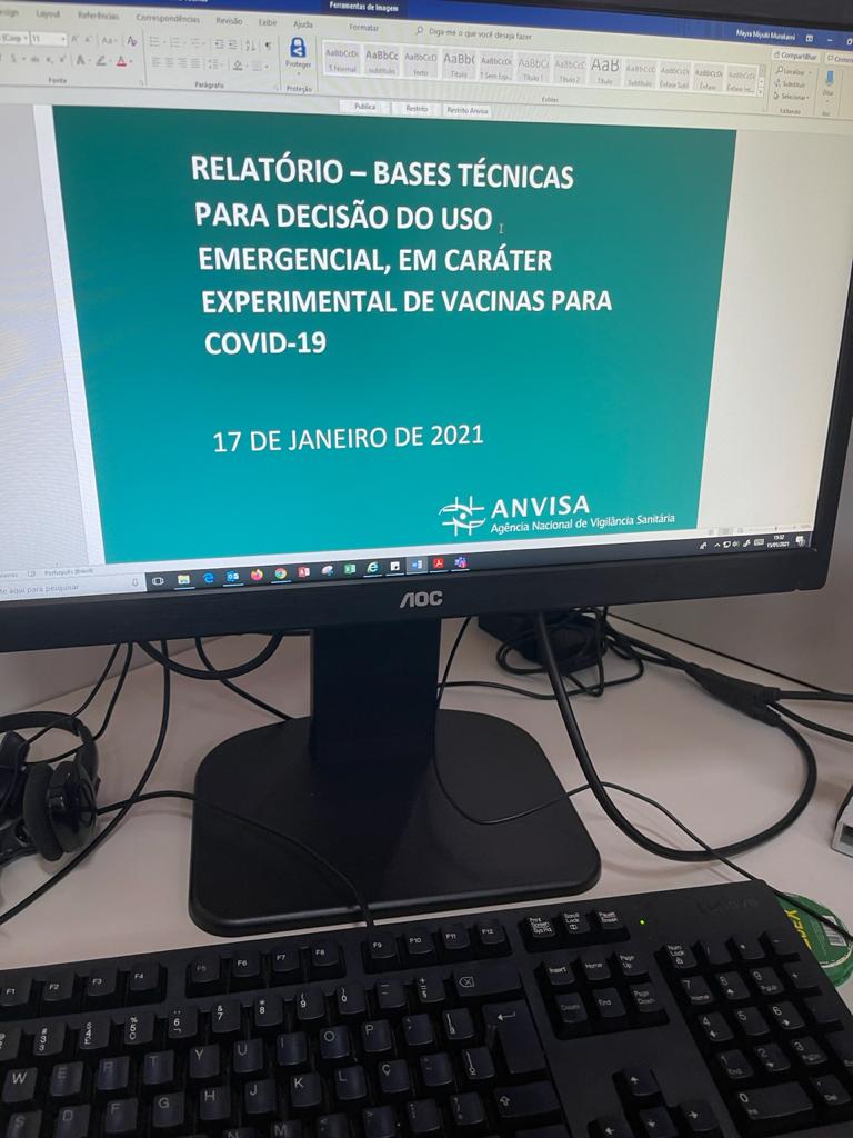 análise vacinas relatório