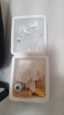 35 toxina botulínica congelada, fora da temperatura ideal para uso.jfif