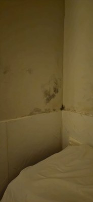 Falta de manutenção.jpeg