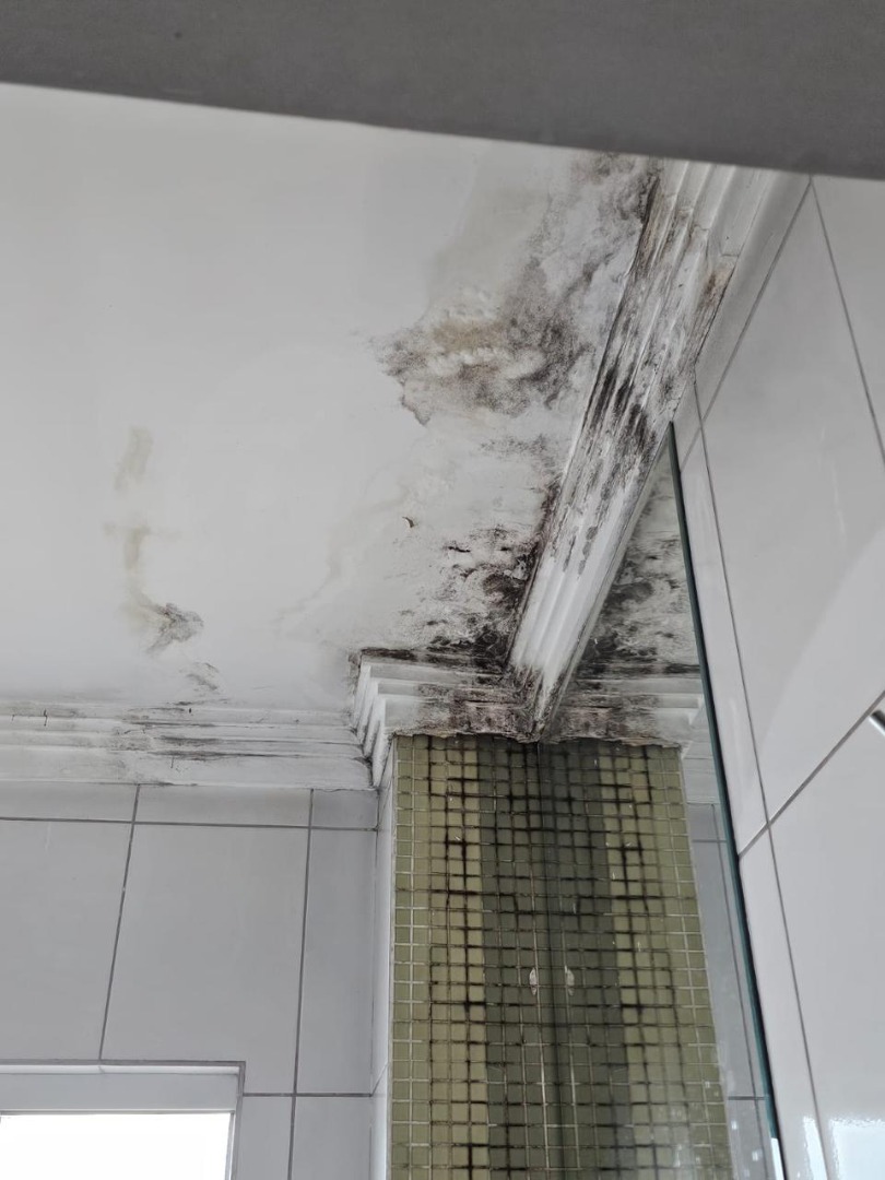 Mofo e infiltração em clínica inspecionada