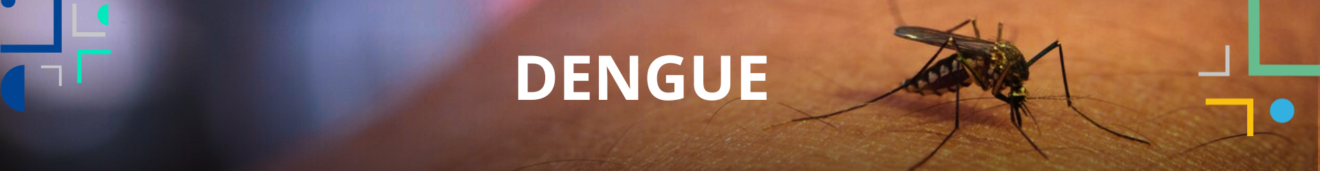 banner portal pagina dengue.png