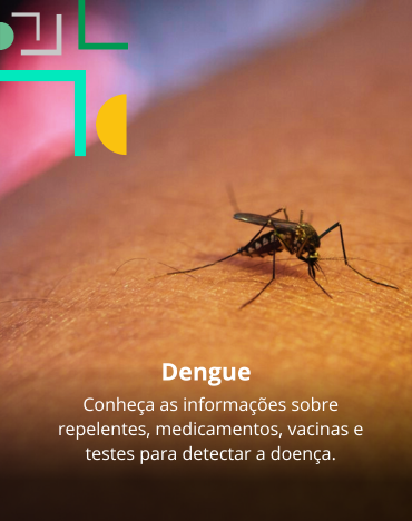 dengue: conheça as informações sobre vacinas, repelentes e testes para a doença